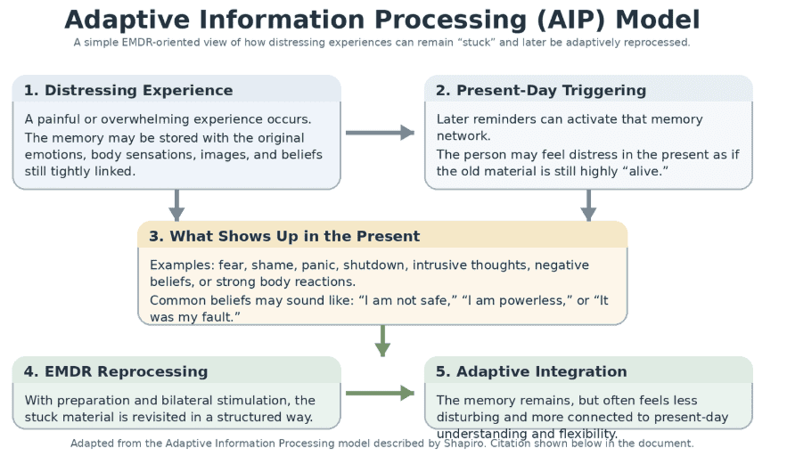 A flow chart explaining the Adaptive Information Processing model, showing how a distressing experience leads to present-day triggering and symptoms, followed by EMDR reprocessing and adaptive integration.